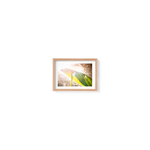 Load image into Gallery viewer, Swiss Cheese Sparkle

