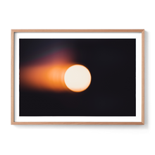 Load image into Gallery viewer, Nature&#39;s Bat Symbol
